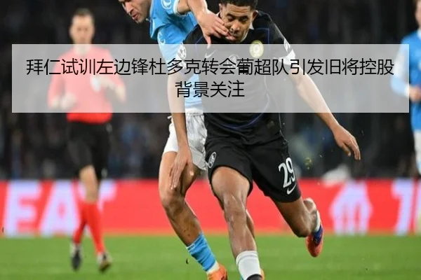 拜仁试训左边锋杜多克转会葡超队引发旧将控股背景关注